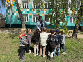 Наблюдение за березой Наблюдение за березой.